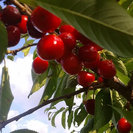 La Borda Castillon Tierrantona